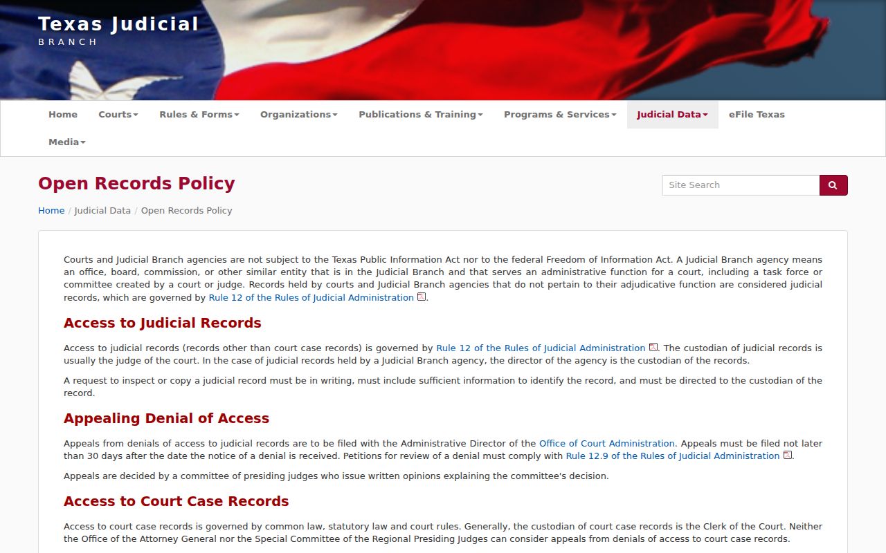 Texas court access policy relevant to Nueces County arrest records